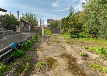 Terreno Cerza (11).jpg - Terreno agricolo Via Cerza 35, San Gregorio di Catania - foto 11