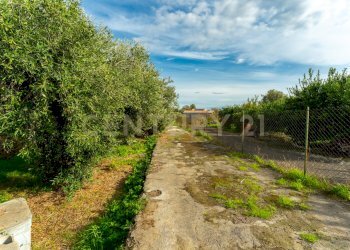 Terreno Cerza (13).jpg - Terreno agricolo Via Cerza 35, San Gregorio di Catania - foto 13