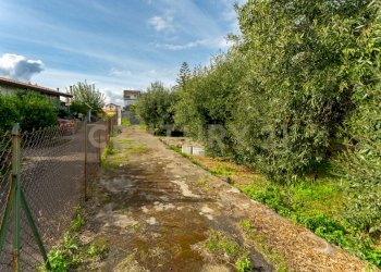 Terreno Cerza (15).jpg - Terreno agricolo Via Cerza 35, San Gregorio di Catania - foto 15