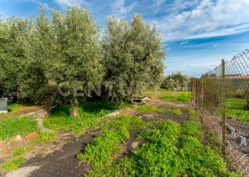 Terreno Cerza (16).jpg - Terreno agricolo Via Cerza 35, San Gregorio di Catania - foto 16