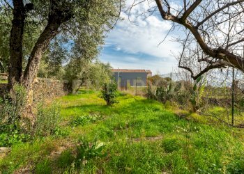 Terreno Cerza (19).jpg - Terreno agricolo Via Cerza 35, San Gregorio di Catania - foto 19