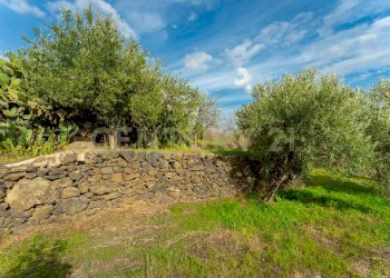 Terreno Cerza (21).jpg - Terreno agricolo Via Cerza 35, San Gregorio di Catania - foto 21