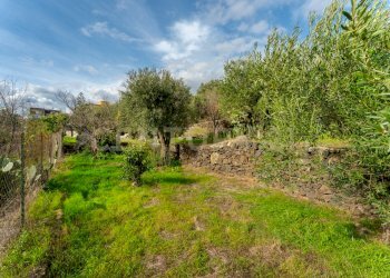 Terreno Cerza (22).jpg - Terreno agricolo Via Cerza 35, San Gregorio di Catania - foto 22