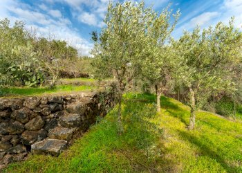 Terreno Cerza (23).jpg - Terreno agricolo Via Cerza 35, San Gregorio di Catania - foto 23