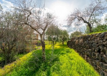 Terreno Cerza (25).jpg - Terreno agricolo Via Cerza 35, San Gregorio di Catania - foto 25