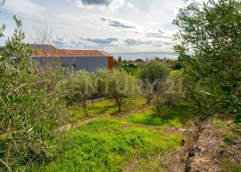 Terreno Cerza (27).jpg - Terreno agricolo Via Cerza 35, San Gregorio di Catania - foto 27