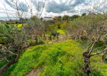 Terreno Cerza (29).jpg - Terreno agricolo Via Cerza 35, San Gregorio di Catania - foto 29