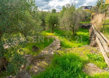 Terreno Cerza (30).jpg - Terreno agricolo Via Cerza 35, San Gregorio di Catania - foto 30