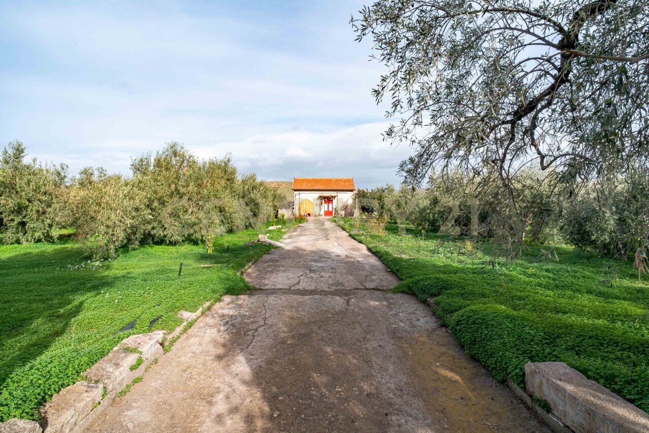 DSC09229.jpg - Terreno agricolo Contrada San Francesco snc, Paternò - foto 2