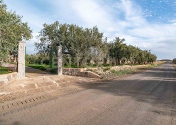 DSC09228.jpg - Terreno agricolo Contrada San Francesco snc, Paternò - foto 1