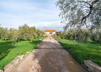 DSC09229.jpg - Terreno agricolo Contrada San Francesco snc, Paternò - foto 2