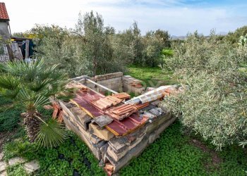 DSC09236.jpg - Terreno agricolo Contrada San Francesco snc, Paternò - foto 5