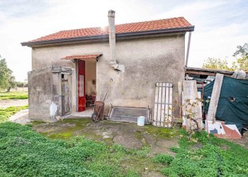 DSC09251.jpg - Terreno agricolo Contrada San Francesco snc, Paternò - foto 14