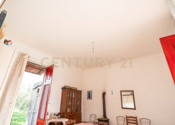 DSC09254.jpg - Terreno agricolo Contrada San Francesco snc, Paternò - foto 16