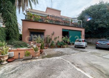 DSC07638.jpg - Villa Viale Scala Greca, Siracusa - foto 1