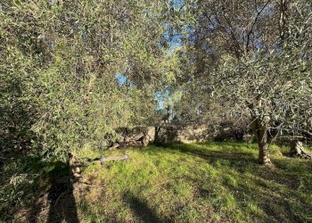 WhatsApp Image 2025-11-30 at 18.22.44.jpeg - Villa Stradale Coda Volpe 1, Augusta - foto 15