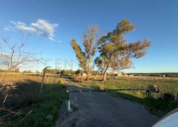 WhatsApp Image 2025-11-30 at 18.21.39.jpeg - Villa Stradale Coda Volpe 1, Augusta - foto 24