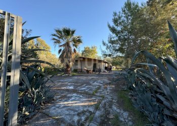 WhatsApp Image 2025-11-30 at 18.23.05 (10).jpeg - Villa Stradale Coda Volpe 1, Augusta - foto 29