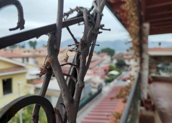 591336131_1409775854262347_3284009132339221768_n.j - Trilocale Via Nicola Ricciotti 50, Guidonia Montecelio - foto 12