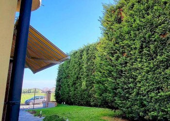 20251125_142546.jpg - Porzione di casa VIA XI FEBBRAIO 11, Sissa Trecasali - foto 10