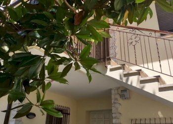 IMG_20230611_113348348_HDR.jpg - Casa indipendente Via Martiri di Belfiore 19, Rovigo - foto 18