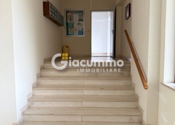 ANX-PZ43.jpg - Appartamento Via Anzio 35, Potenza - foto 30