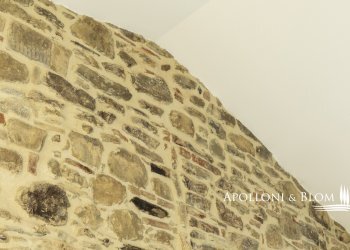 Rustico strada comunale monte Lignano, Arezzo - foto 29