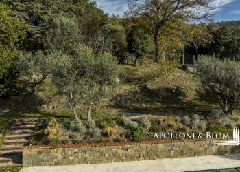 Rustico strada comunale monte Lignano, Arezzo - foto 60