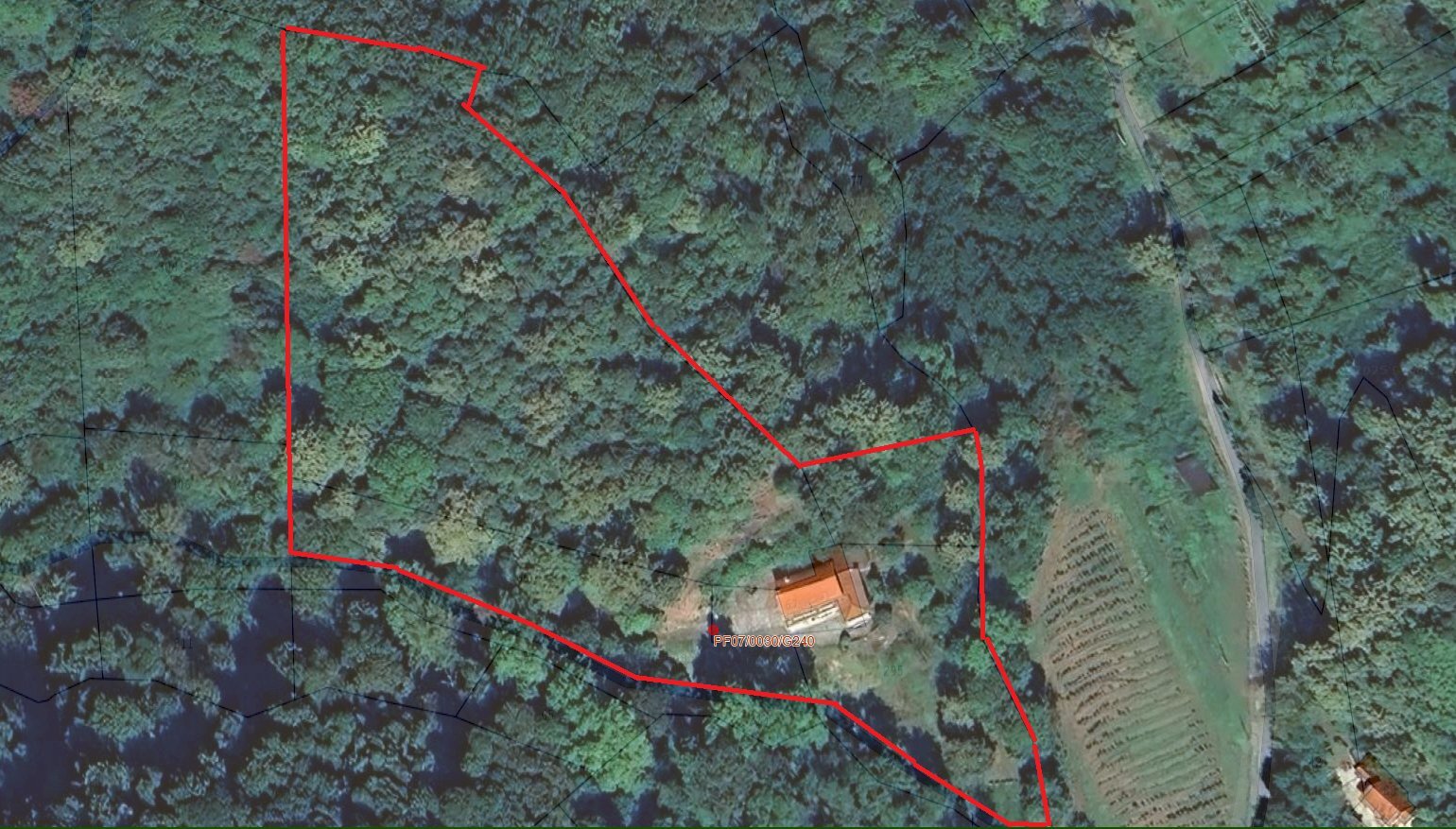 Independent house Via Barba, 17, Pagno - floor plans 1