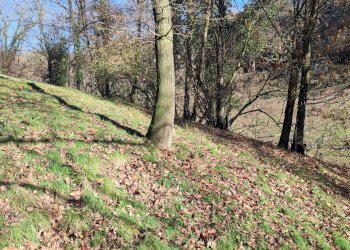 Independent house Via Barba, 17, Pagno - photo 41