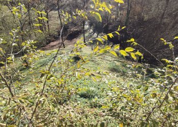 Independent house Via Barba, 17, Pagno - photo 44