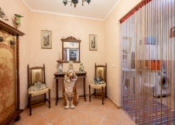 Villa Strada delle Verne, 26, Villafranca d'Asti - foto 13