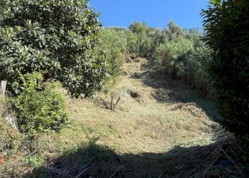 Terreno edificabile Via V. Moretti, Albisola Superiore - foto 4