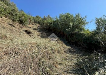 Terreno edificabile Via V. Moretti, Albisola Superiore - foto 5