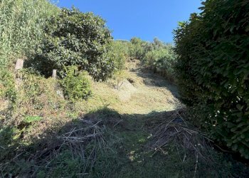 Terreno edificabile Via V. Moretti, Albisola Superiore - foto 6