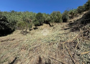 Terreno edificabile Via V. Moretti, Albisola Superiore - foto 7