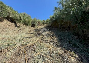Terreno edificabile Via V. Moretti, Albisola Superiore - foto 8