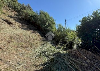 Terreno edificabile Via V. Moretti, Albisola Superiore - foto 9