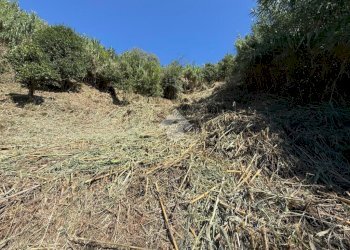 Terreno edificabile Via V. Moretti, Albisola Superiore - foto 10