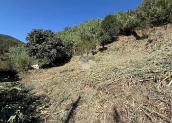Terreno edificabile Via V. Moretti, Albisola Superiore - foto 11