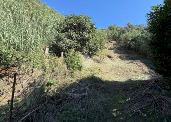 Terreno edificabile Via V. Moretti, Albisola Superiore - foto 12