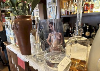 Restaurant Bologna (neighborhood Navile) - photo 1