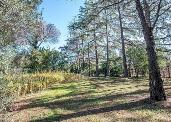 Foto 50 - Villa Via di Tor Carbone
65, Roma - foto 50