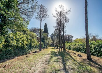 Foto 54 - Villa Via di Tor Carbone
65, Roma - foto 54