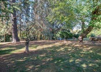 Foto 57 - Villa Via di Tor Carbone
65, Roma - foto 57