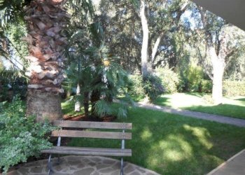 Foto 2 - Villa via dei Lecci
 
0, Cisterna di Latina - foto 2