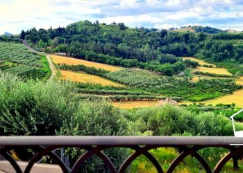 Foto 3 - Casa indipendente via Veneto
 
185, Longiano - foto 3