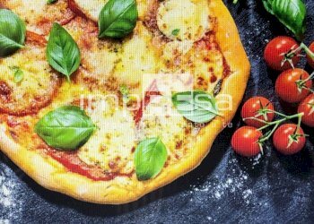 foto - Attività Commerciale via Feltrina, Treviso - foto 10