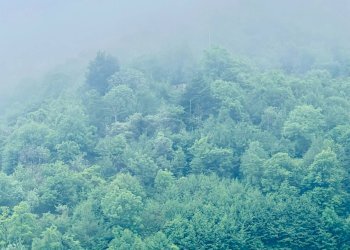 Foto 15 - Bilocale via provinciale, Ballabio - foto 15