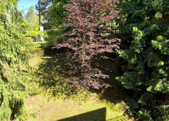 Foto 15 - Trilocale via roma, Barzio - foto 15